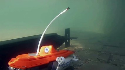 Au fond du bassin du LUCO !