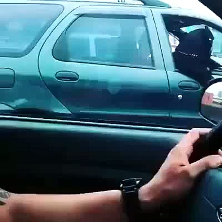Funny Rottweiler In The Car