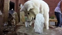Cão come água. Cão engraçado morde fonte