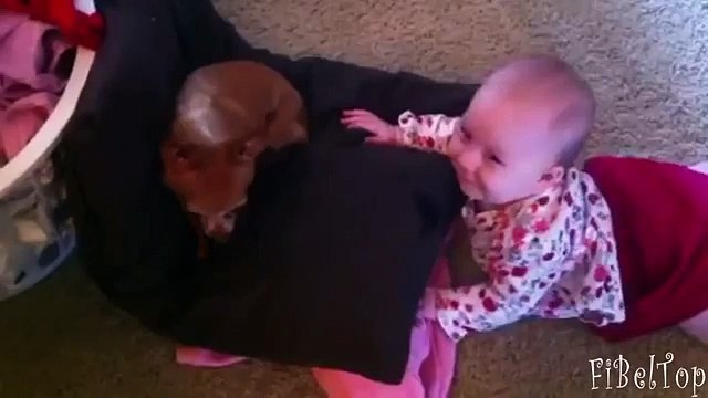 Lo que los niños dicen perros perros y niños divertidos