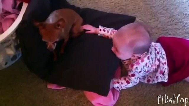 Qu'est-ce que les enfants disent chiens chiens et les enfants drôles