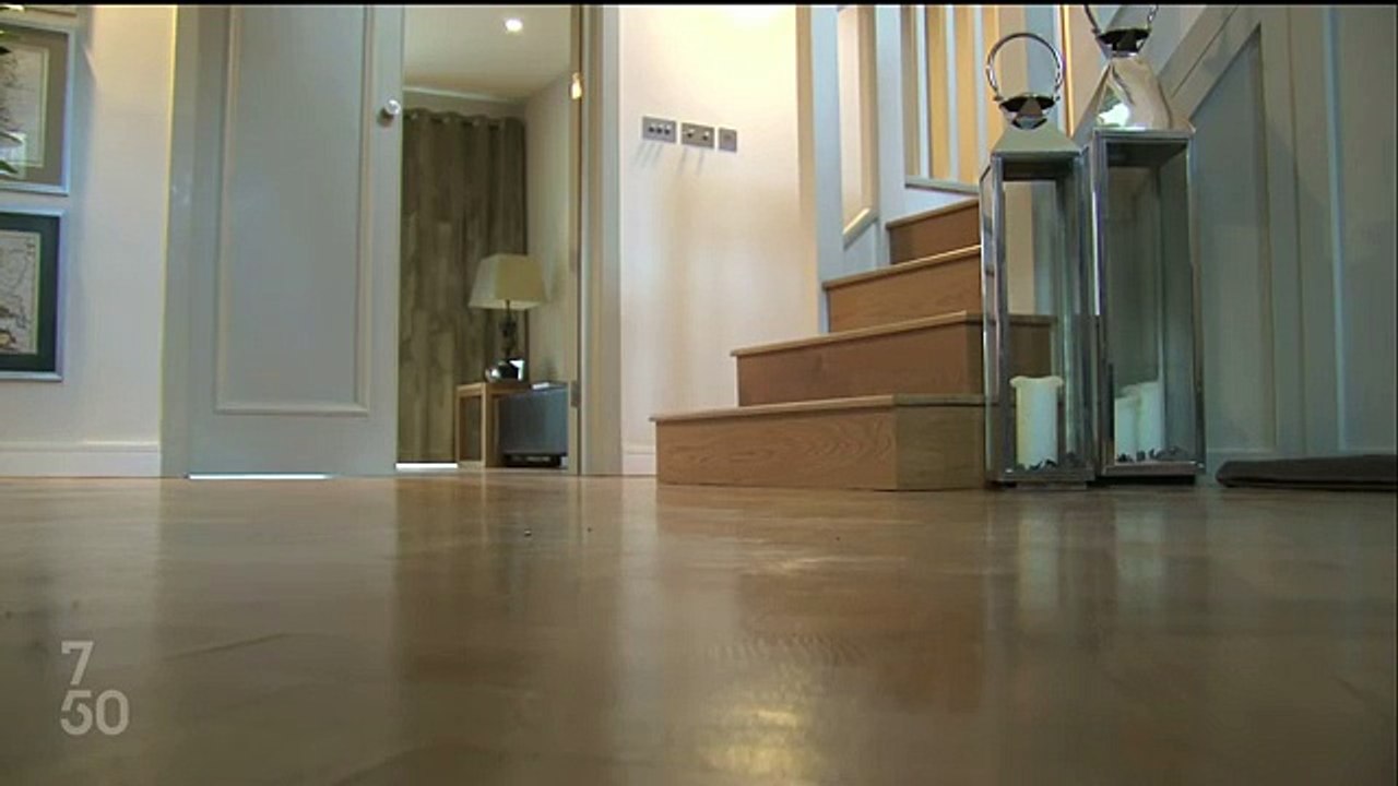 Home Alone. Drôle de hamster équitation dans un bol