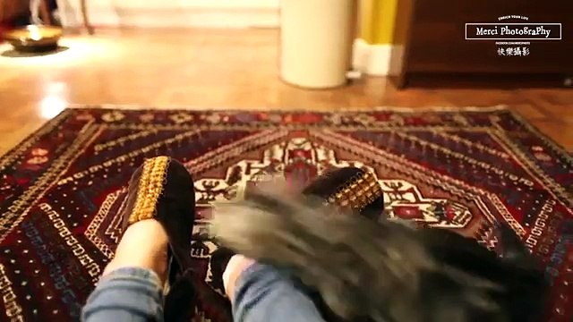 Полосатые и симпатичные котята. Забавные котята