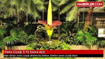 Bizarre Plant Penis Flower in Japan Incredible :D Penis Çiçeği Açtı Dünya Böyle İlginçlik Görmedi :D