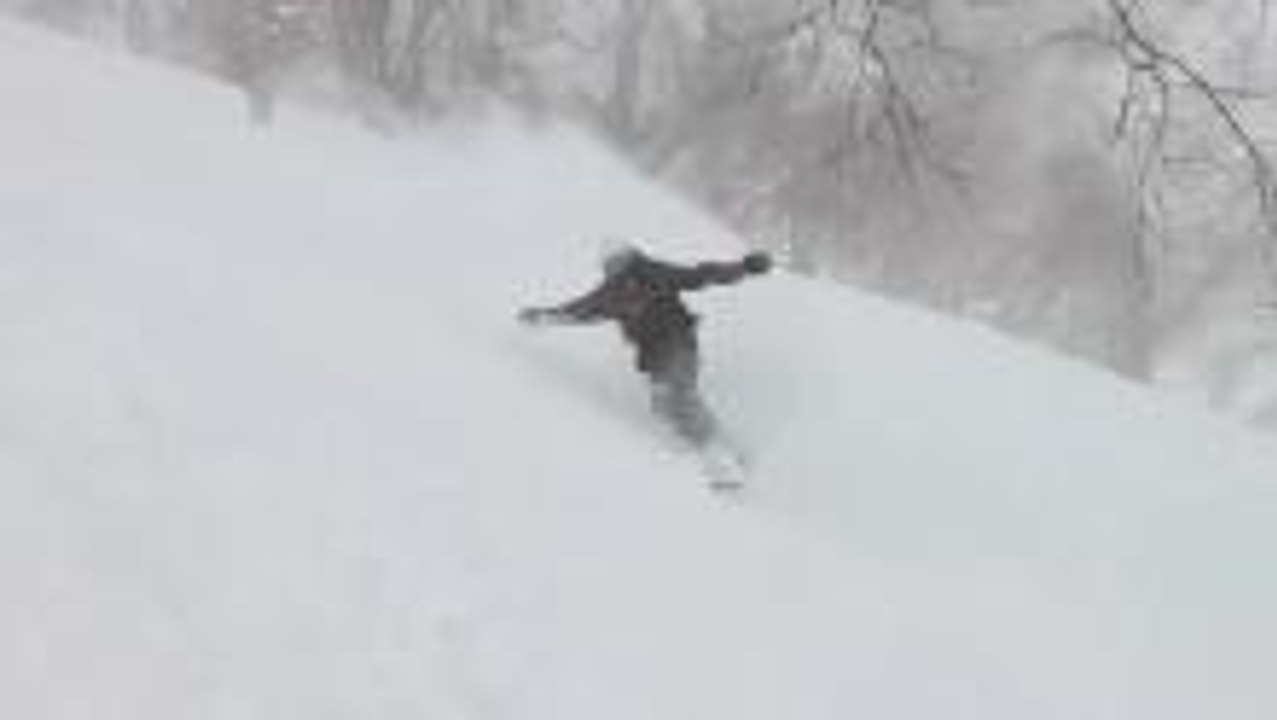 Japan Camp Powder