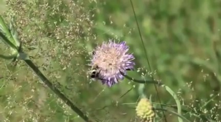 Trái đất này là của chúng mình - Nhạc thiếu nhi vui nhộn hay nhất