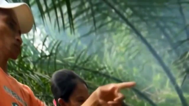 Animals Documentary Films - Nat Geo Wild documentaries 2015 - crocodile hunter wildlife in