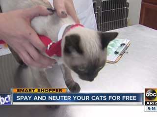Smart Shopper: Get your cat fixed for free!