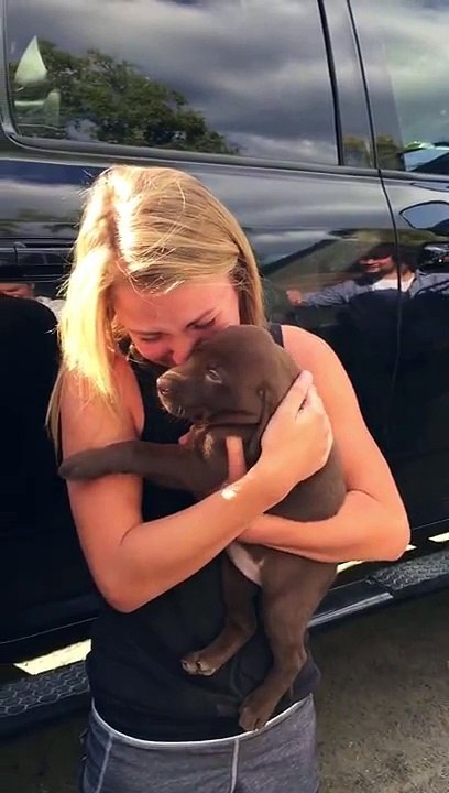 Man Proposes To Girlfriend With Puppy And It's Ridiculously Cute