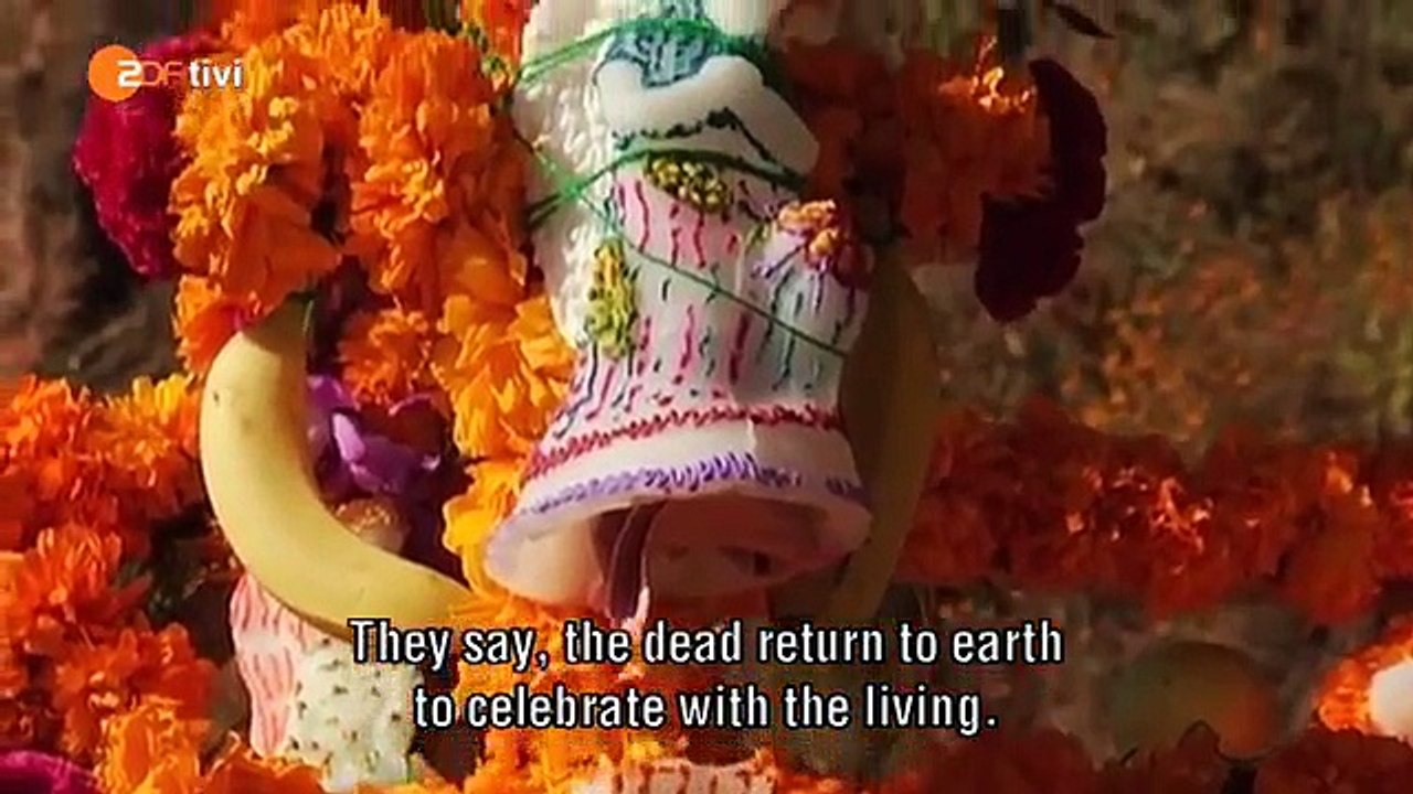 Löwenzahn Leben und Sterben (English subtitles) video Dailymotion