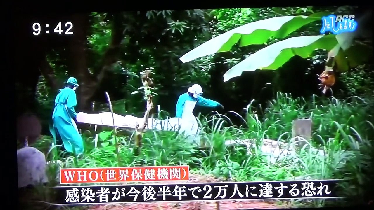 28年前からの警鐘