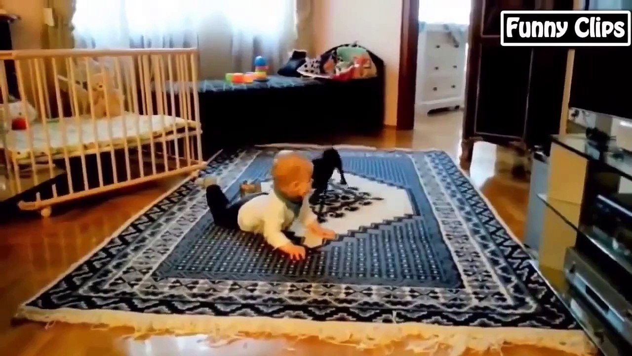Funny video Funny Animal Funny babies Compilation the best 2015