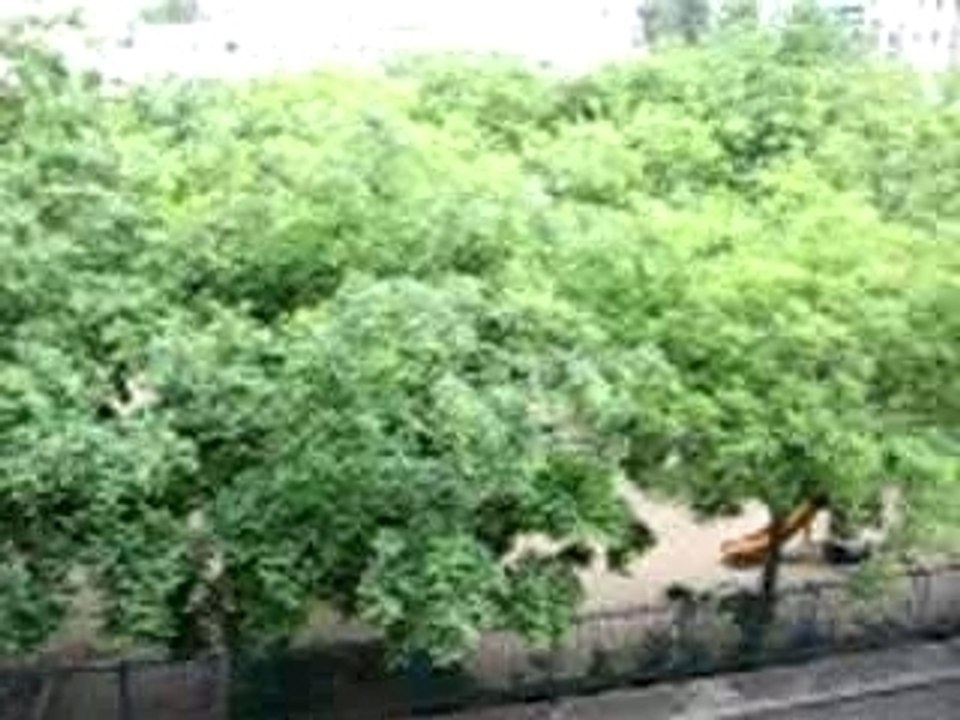 Ma rue ( Rue Duchefdelaville )