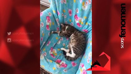 Yanındakine ansızın bağır