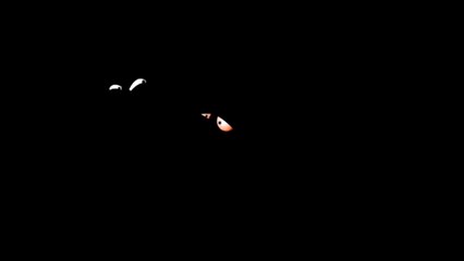 3 Temporada La Familia Del Barrio