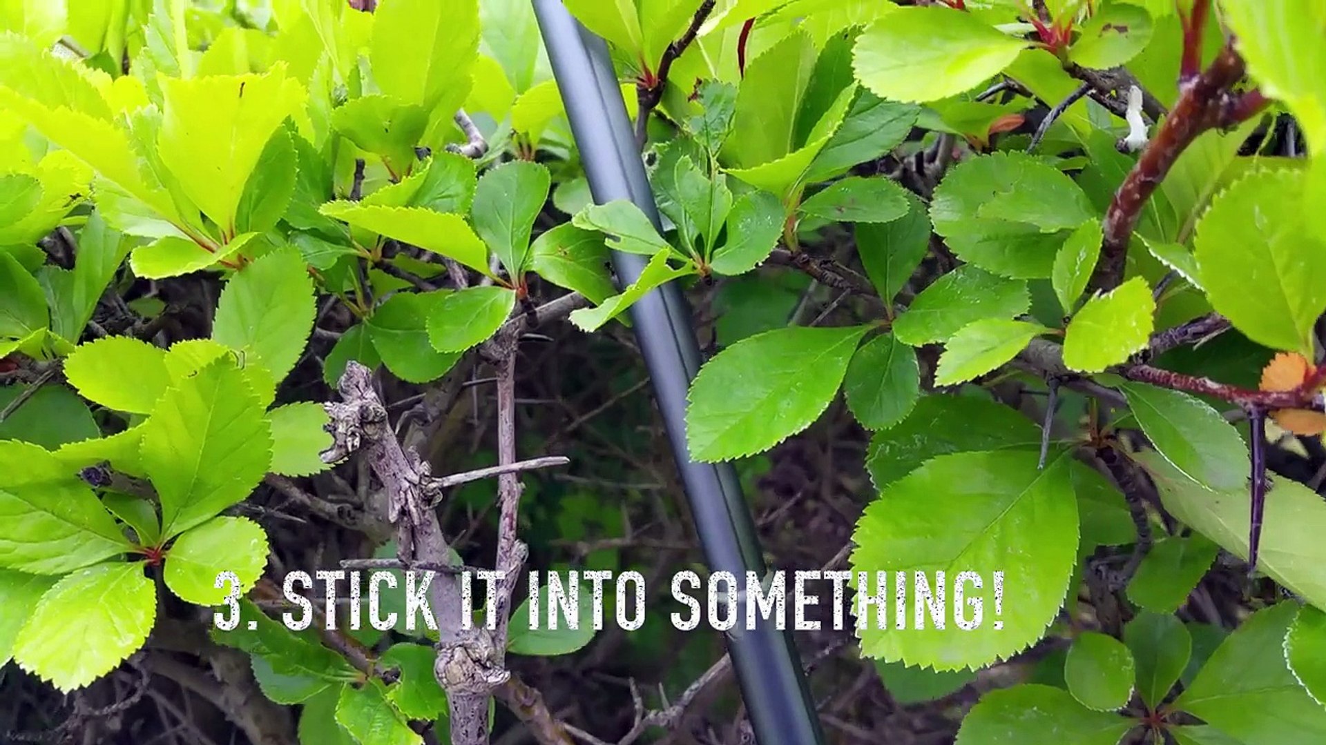 ⁣7 selfie stick hacks for your travel video