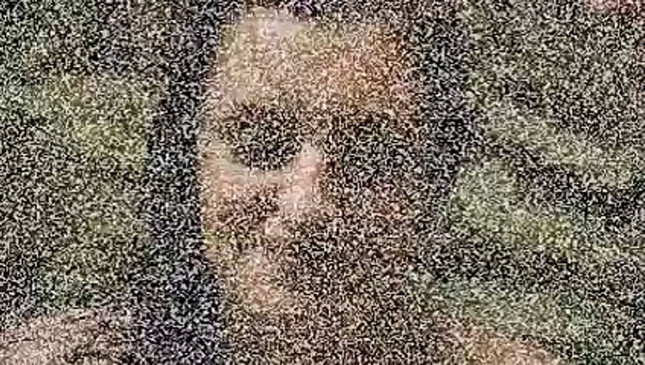 Bite Horror Movie Official Trailer (2015) HD