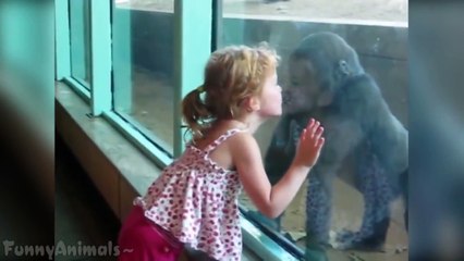 Kids At The Zoo Best Compilation