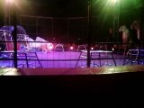 Un lion attaque son dresseur dans un cirque à Douai