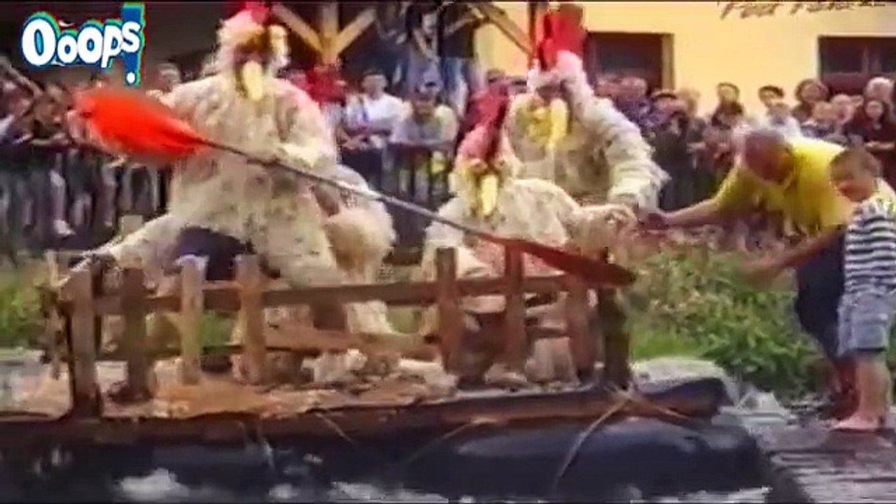 Best Funny Videos Compilation