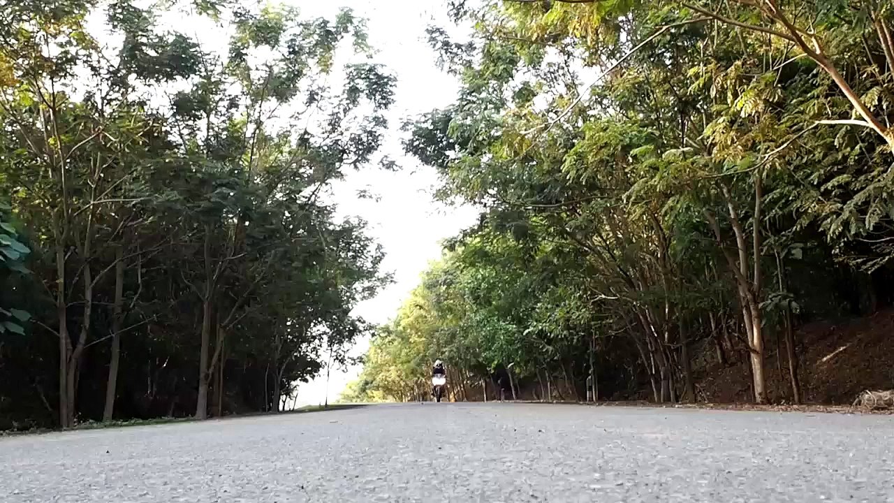 Cutting within the frame video Dailymotion