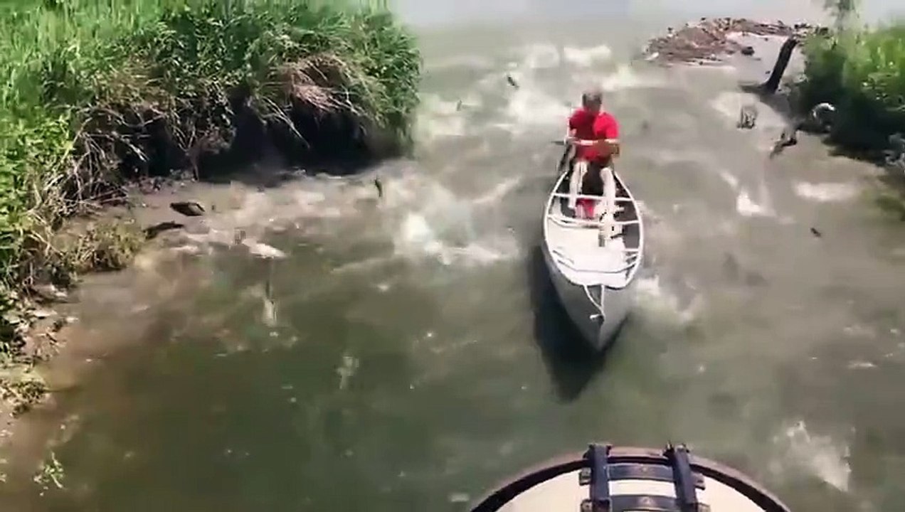 fails_10