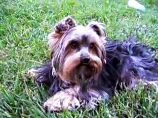 mon ptit you a les yeux qui tourne!