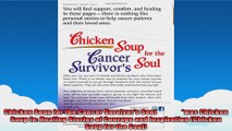 Chicken Soup for the Cancer Survivors Soul                 was Chicken Soup fo Healing