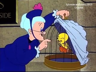 Sylvester and Tweety in ROOM AND BIRD Part 3