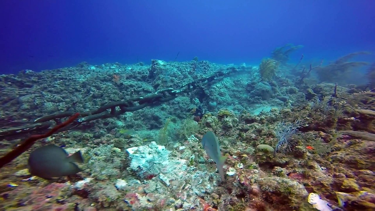 Les dégât que fait l'ancre d'un bateau de croisière sur le récif des caraïbes.