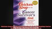 Chicken Soup for the Cancer Survivors Soul 101 Healing Stories About Those Who Have