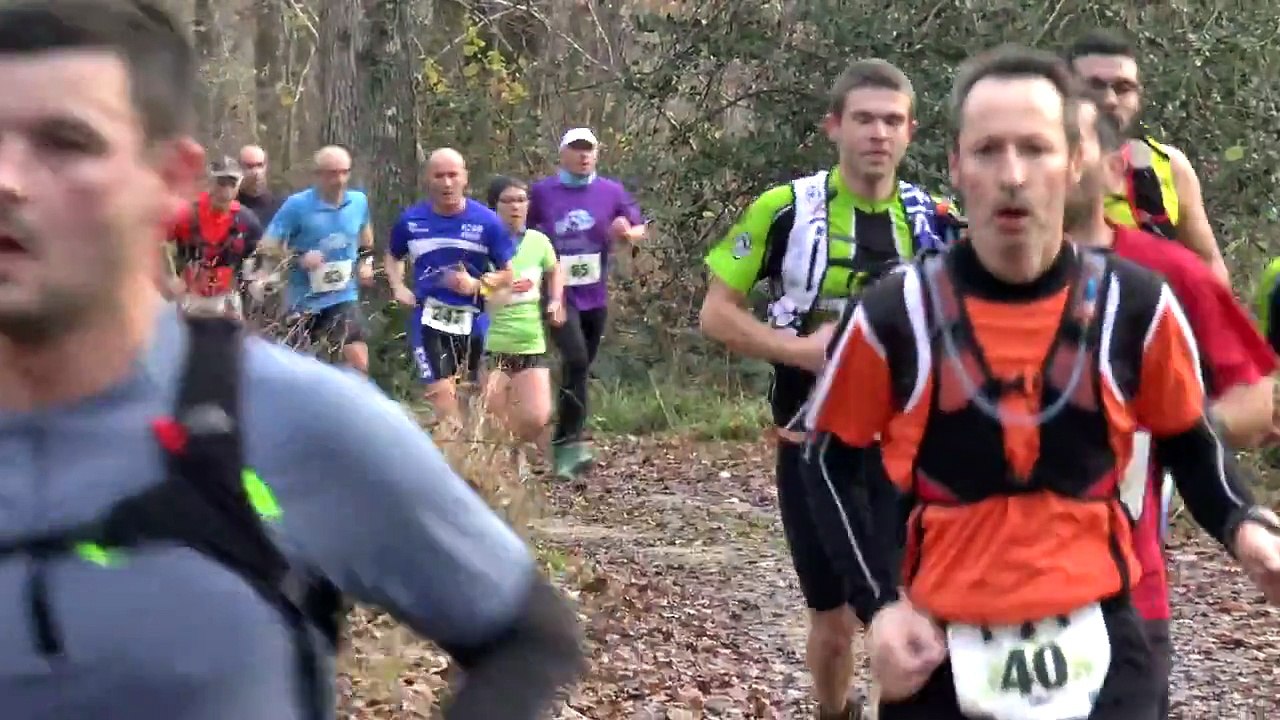 LA CLAIRIERE AUX SANGLIERS 2015