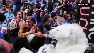 Frostpaw, the anti keystone polar bear, react.