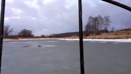 Un chien se cramponnant à un morceau de glace est secouru par des sauveteurs