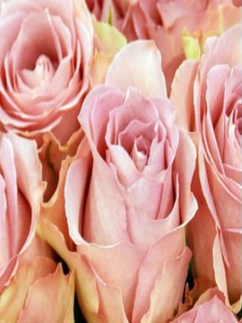 「강동오피」▷udaiso02.cＯm◁신사오피 Ħ 사당오피 ▥ 분당오피