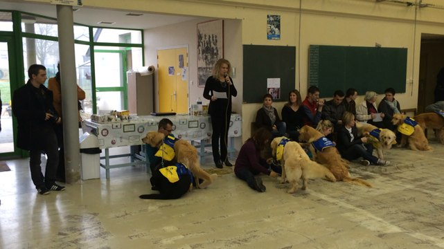 Remise de Handi'chiens à dix bénéficiaires