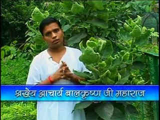 Anjeer (Fig) (ficus carica Linn.) by Vaidhraj Acharya Balkrishna Ji