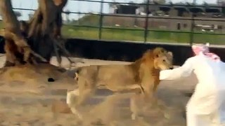 Arab man Rides Lion like Donky - Video Dailymotion