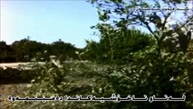 ibrahim tatlıses - bir kulum işte - zher nuse kurdi - Kurdish subtitle