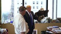 Un aigle attaque Donald Trump