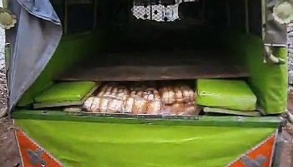 کوہاٹ اسسٹنٹ کمشنر اور محکمہ فوڈ کے اہلکاروں کا پنڈی روڈ پر پاپڑ فیکٹری اور بیکری گودام پر چھاپہ دو مالکان گرفتار