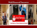 How to hire the best mold removal Vancouver company
