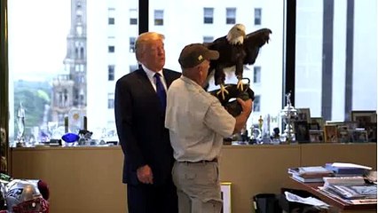 Donald Trump versus Eagle