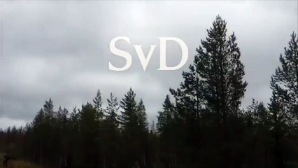 Finlandiya'da Otoyola İniş Yapan Savaş Jeti