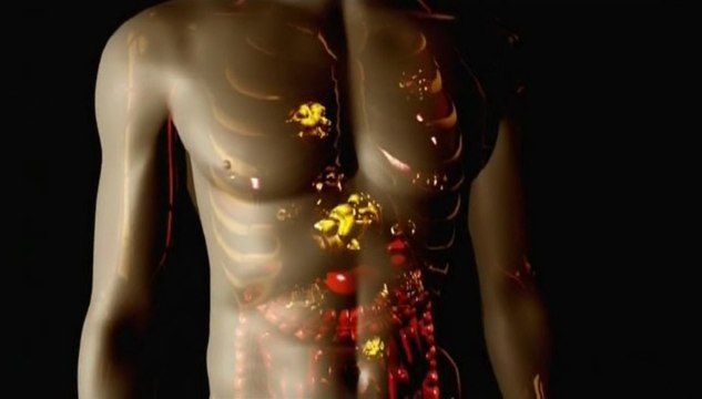 Онкологические заболевания. Рак: причины, профилактика, лечение. Часть 1