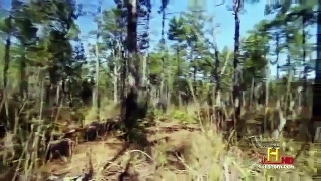 Full Documentary Only in America American Guns History Channel