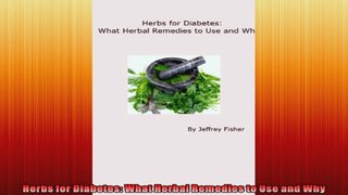Herbs for Diabetes What Herbal Remedies to Use and Why