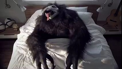 Temple-Run---A-day-in-the-life-of-a-Demon-Monkey.