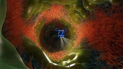 Тайна едкого дыма! – Уникальный антитабачный мультфильм