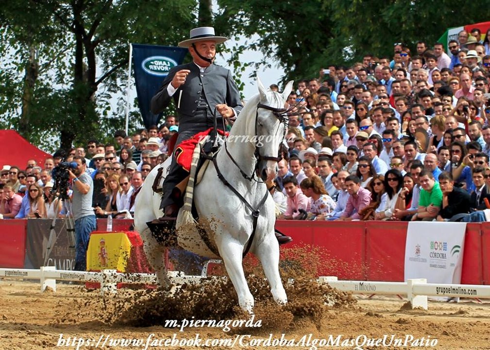 La fotografía ecuestre de Manuel Piernagorda.